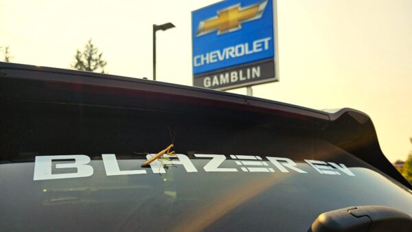 Praying mantis friend on an Eco Friendly Chevy Blazer EV at Gamblin Motors.